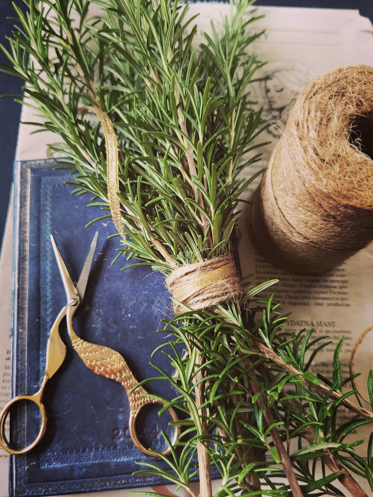 A rustic flat lay with fresh rosemary, vintage scissors, and burlap twine on a newspaper. Rosemary - Unexpectedly sophisticated, the best in list of herbs in banking